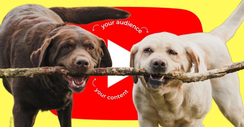 Shareable content over personal content, with two dogs sharing a stick