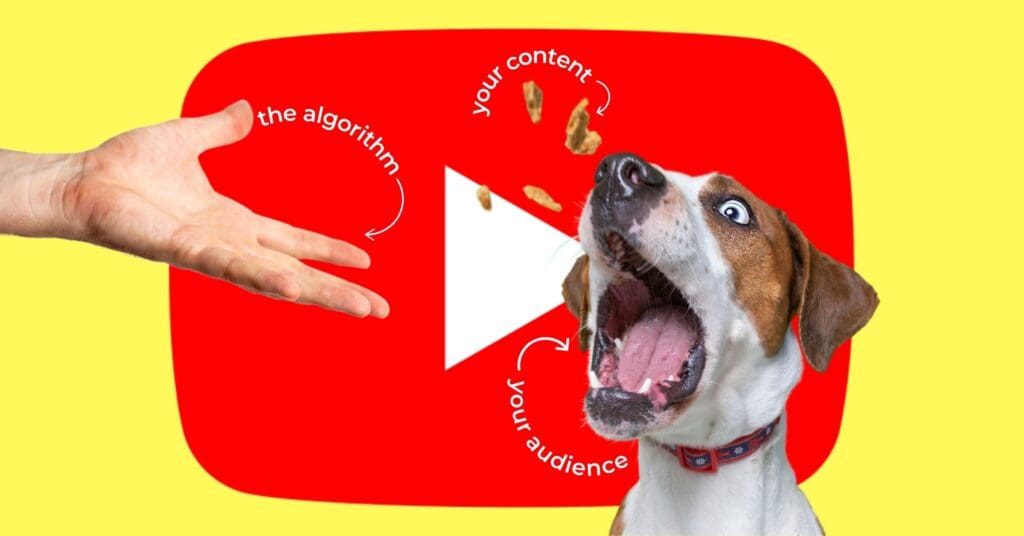 YouTube algorithm hacks to get YouTube to serve up the sweet treat of your content to your eager, expectant audience.