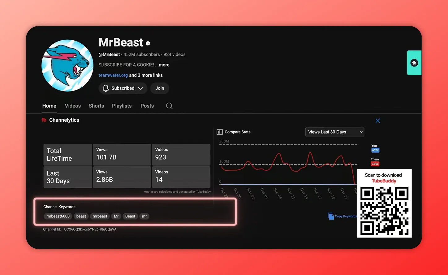 TubeBuddy Channelytics interface with the Channel Keywords area highlighted and keyword tags visible.